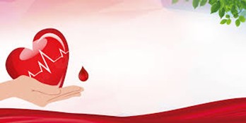 Những Trái Tim Điều Dưỡng Luôn Sẵn Sàng Sẻ Chia Sự Sống