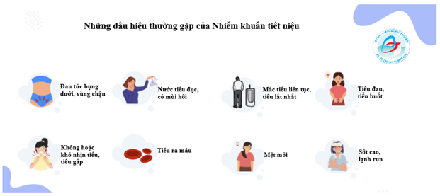 Nhiễm Khuẩn Hệ Tiết Niệu: Bệnh Lý Thường Gặp nhưng Không Thể Xem Thường